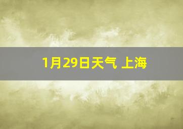 1月29日天气 上海